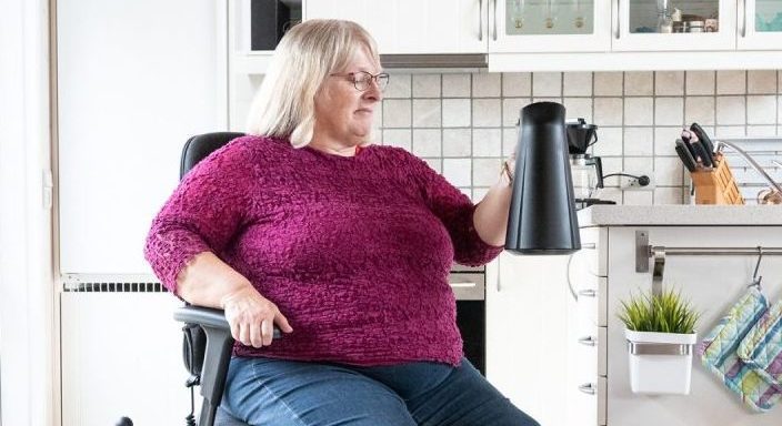 Indoor Rollator Alternative